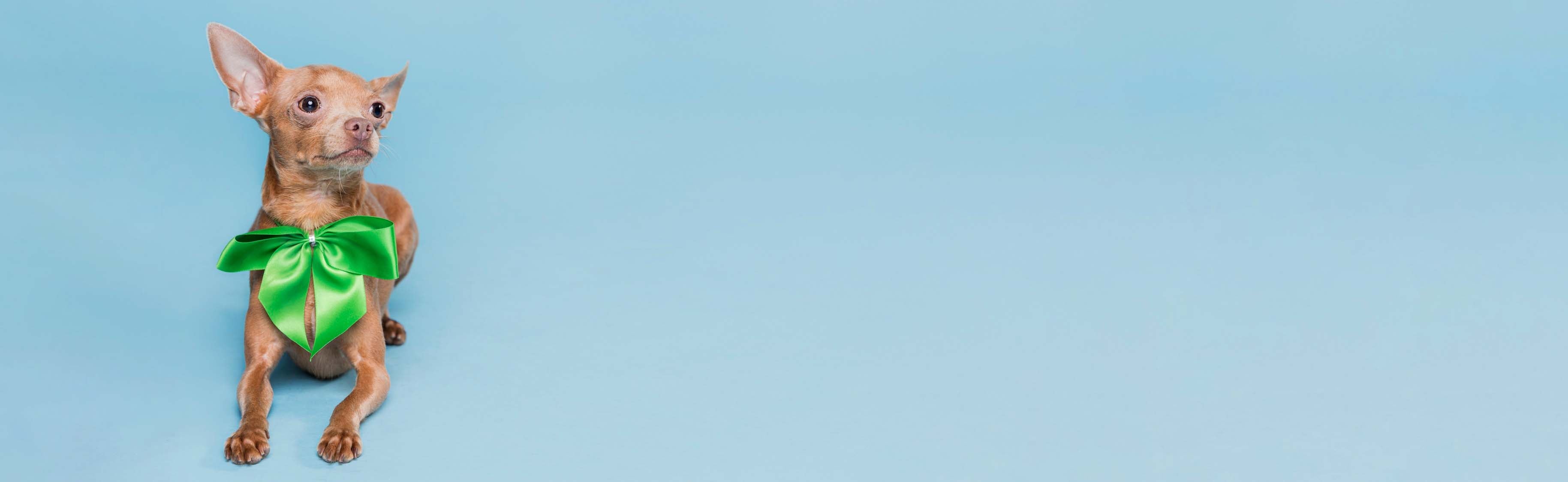 slider image slider_item_cXjxet