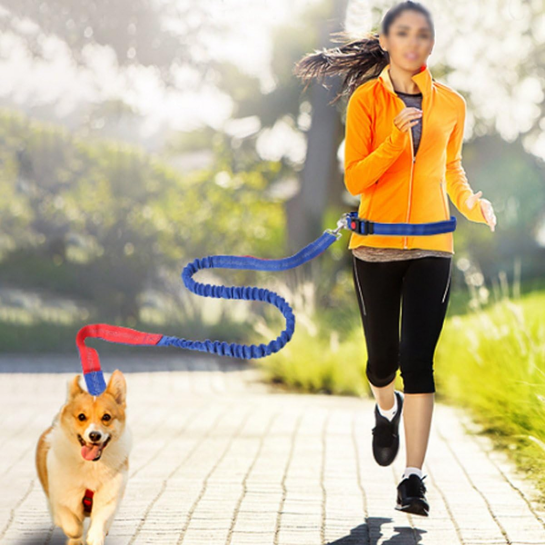 PawLuxe™ WalkEase Leash